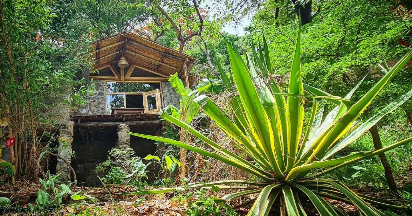 Butterfly Space- A Non-Profit Eco-Lodge Nkhata Bay Exterior photo
