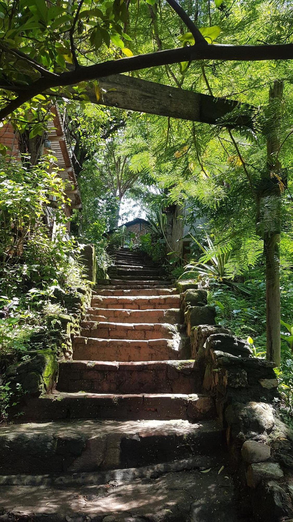 Butterfly Space- A Non-Profit Eco-Lodge Nkhata Bay Exterior photo