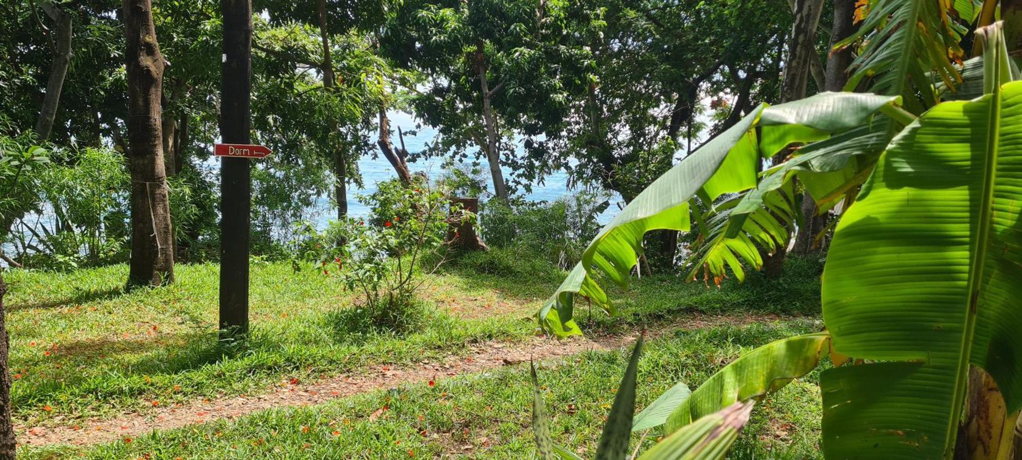 Butterfly Space- A Non-Profit Eco-Lodge Nkhata Bay Exterior photo
