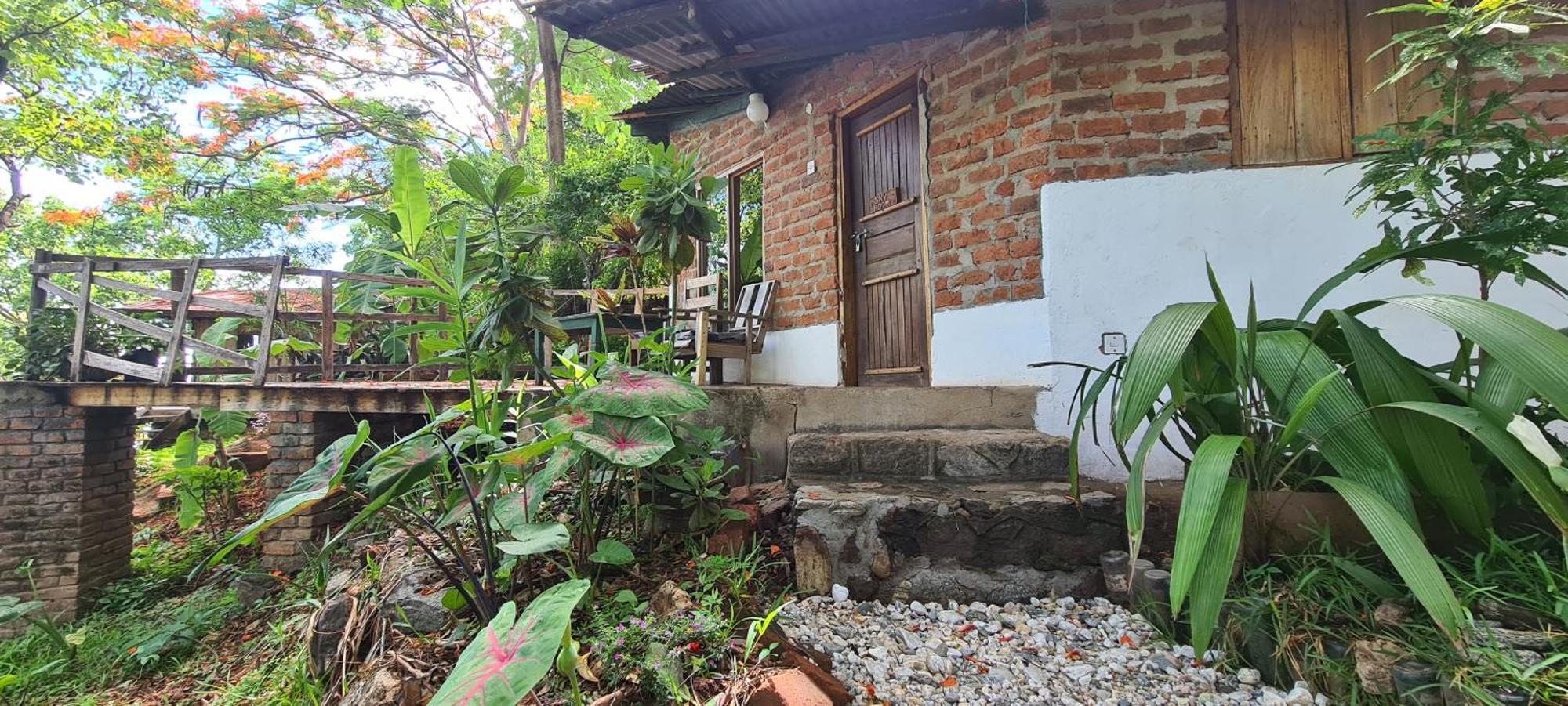 Butterfly Space- A Non-Profit Eco-Lodge Nkhata Bay Exterior photo