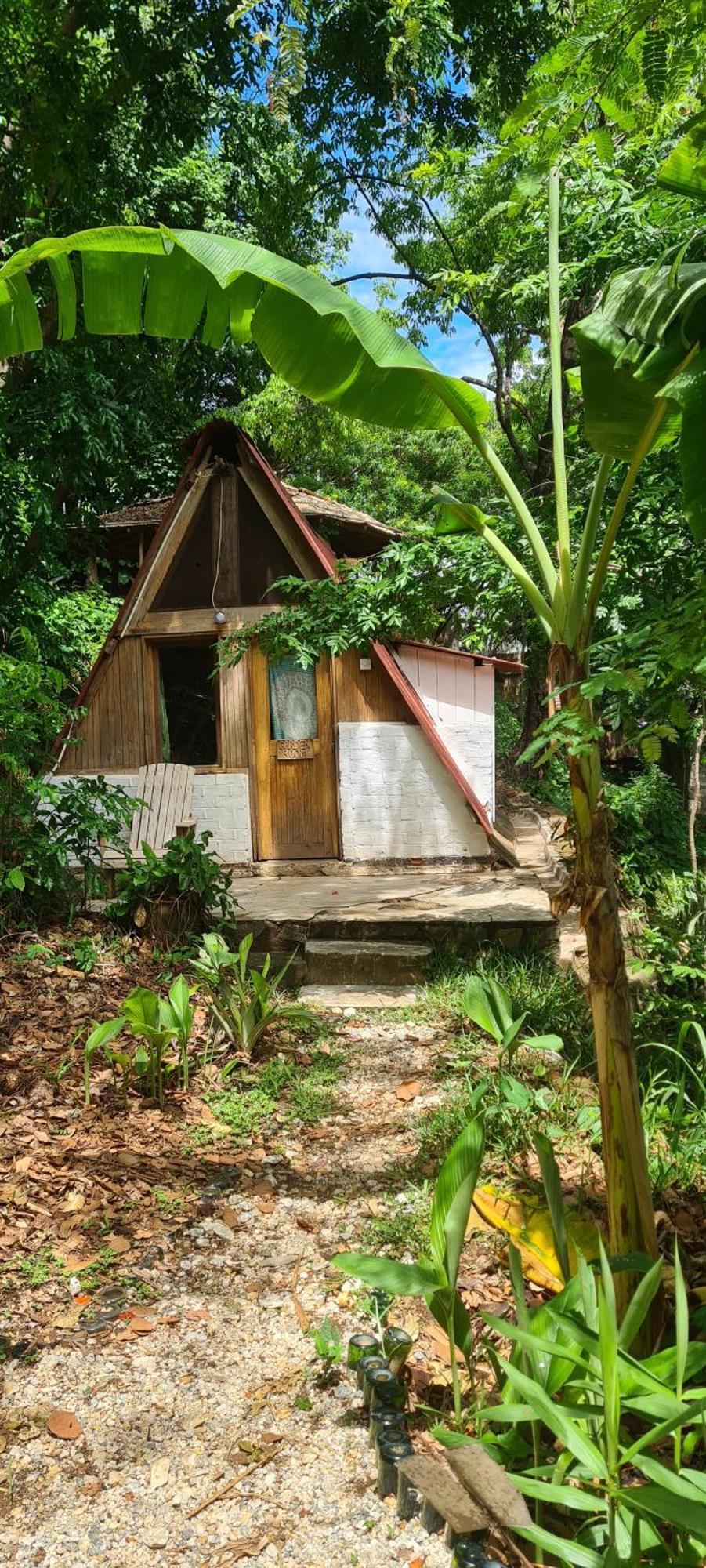 Butterfly Space- A Non-Profit Eco-Lodge Nkhata Bay Exterior photo